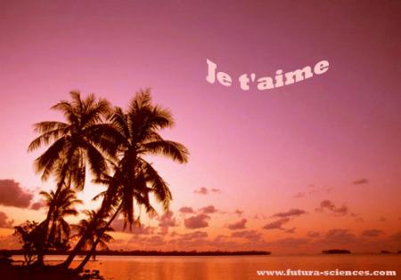 ile des amoureux